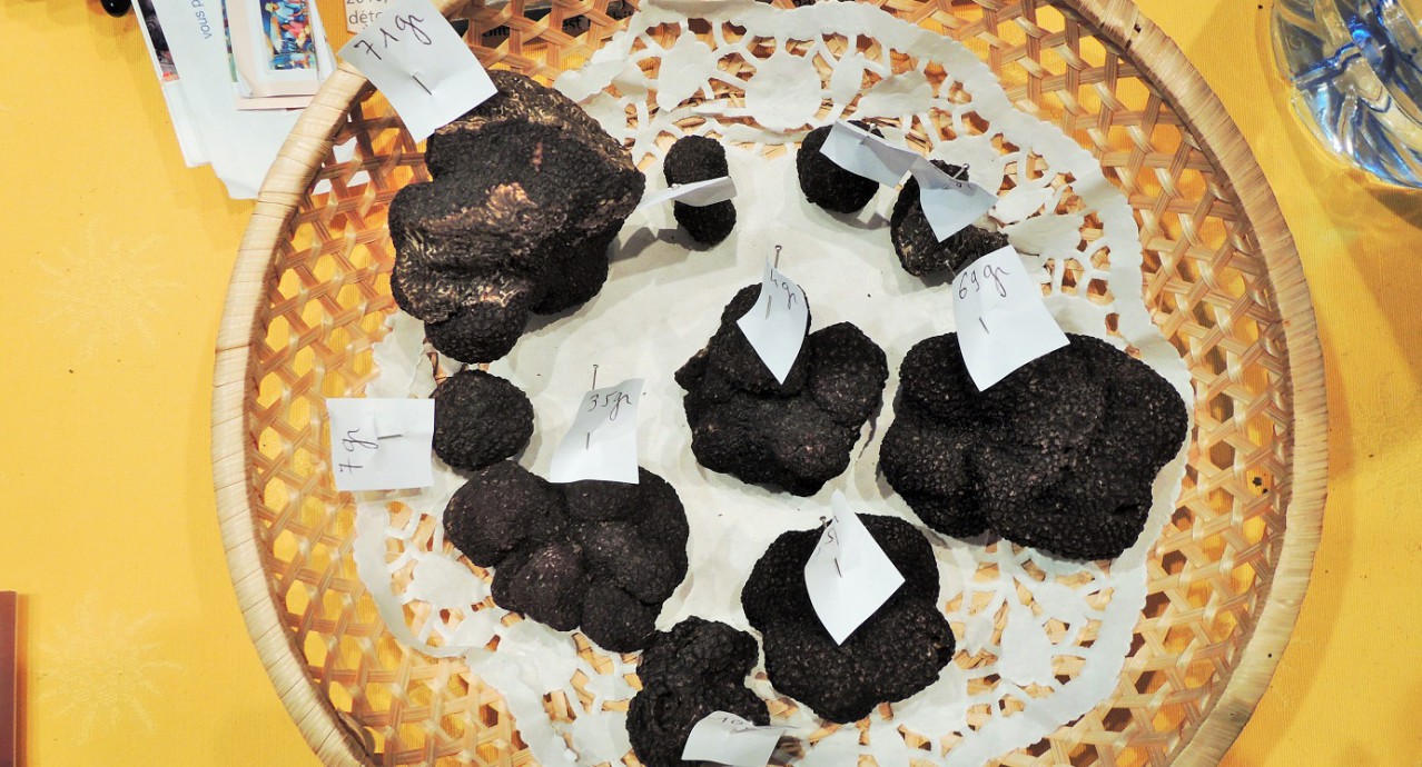 Des truffes à partir de 6€ pièce