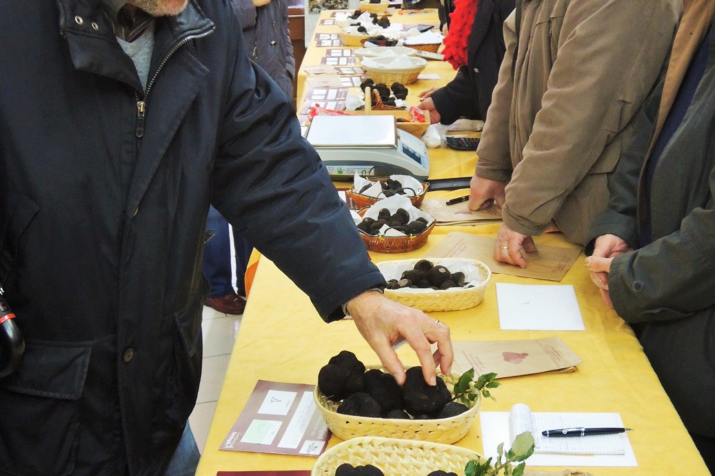 Marché aux truffes de Sarlat