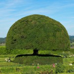 Chateau_de_Hautefort_jardins_perigord_dordogne