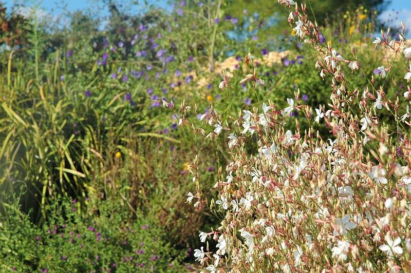 Jardins d'eau_carsac_aillac_dordogne_perigord