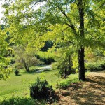 Jardins d'eau_carsac_aillac_dordogne_perigord