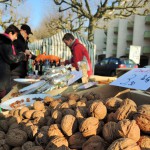 Fête_de_la_noix_Sarlat_dordogne