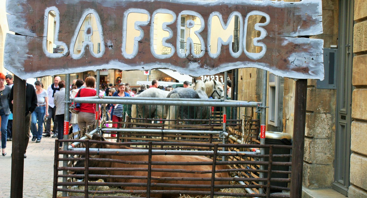 Les Journées du terroir_sarlat_perigord_dordogne