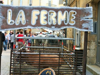 Les Journées du terroir_sarlat_perigord_dordogne