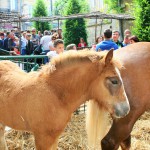 Les Journées du terroir_sarlat_perigord_dordogne