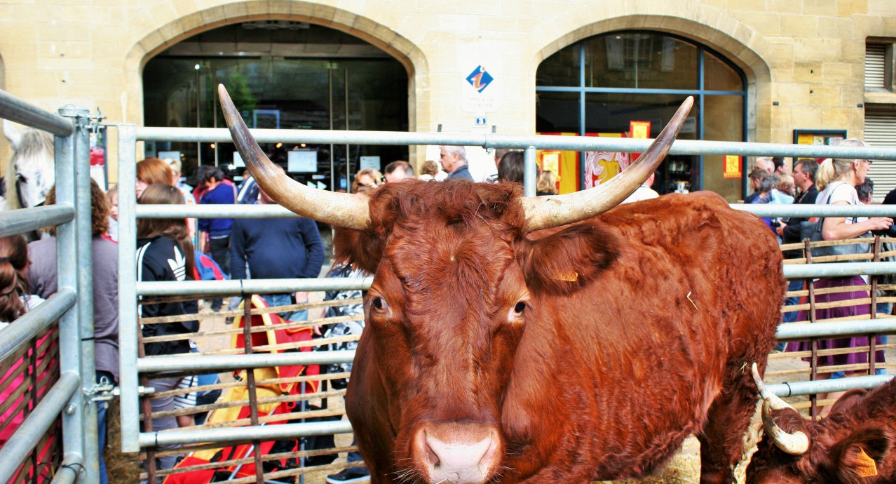 Les Journées du terroir_sarlat_perigord_dordogne