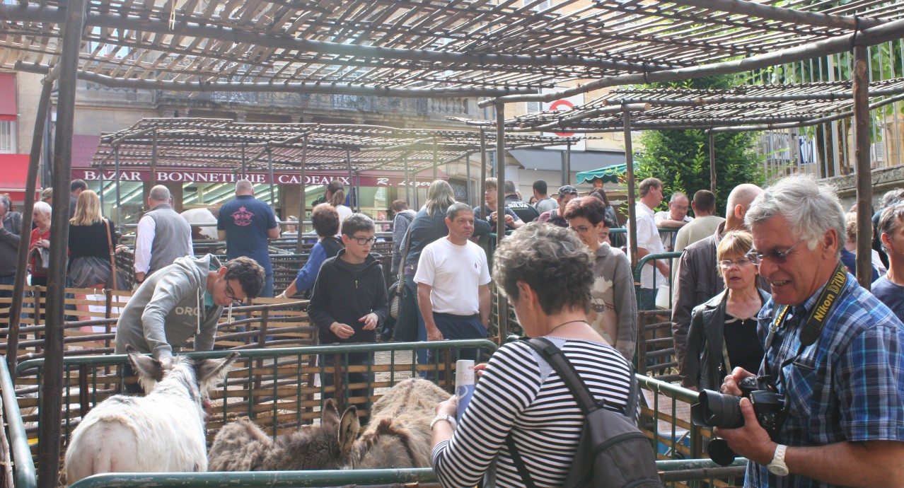 Les Journées du terroir_sarlat_perigord_dordogne