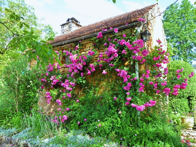 jardin_de_la_daille_dordogne_perigord