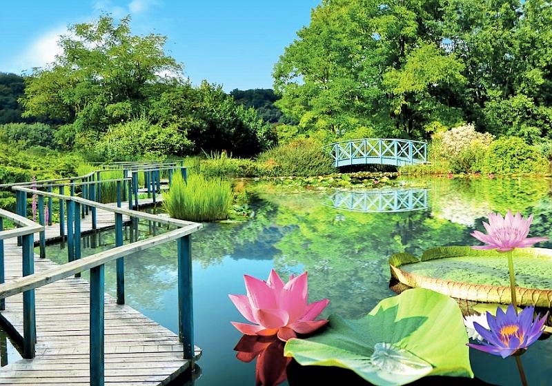 Jardins d'eau_carsac_aillac_dordogne_perigord