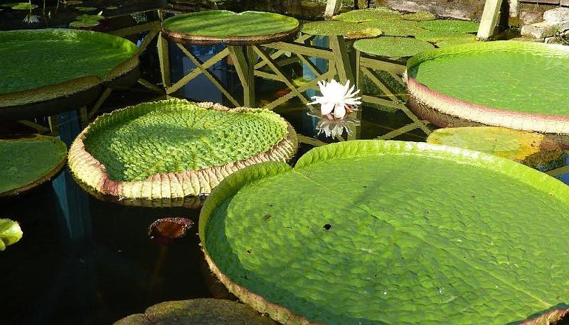 Jardins d'eau_carsac_aillac_dordogne_perigord