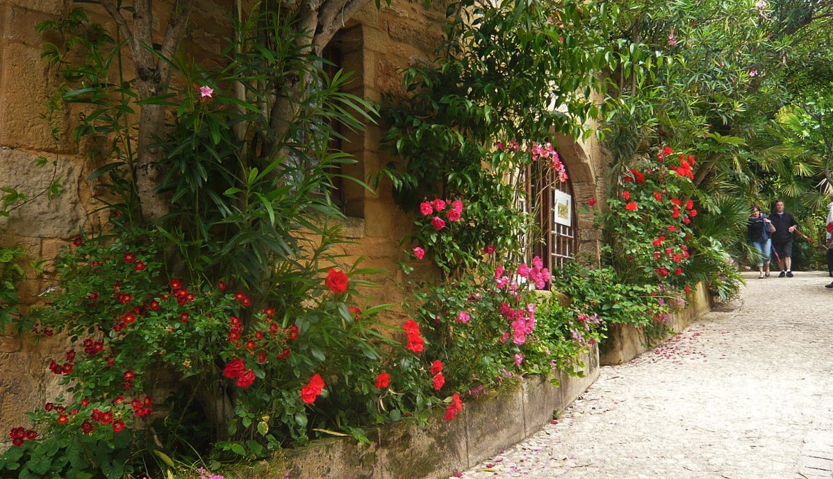 jardins-exotique_jardin-exotique_Roque_Gageac_dordogne_perigor