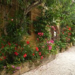 jardins-exotique_jardin-exotique_Roque_Gageac_dordogne_perigor