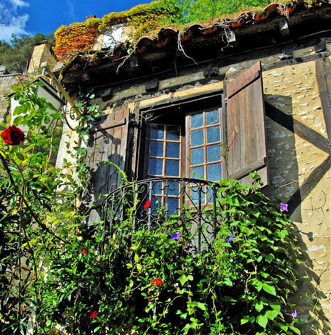 jardins-exotique_jardin-exotique_Roque_Gageac_dordogne_perigor