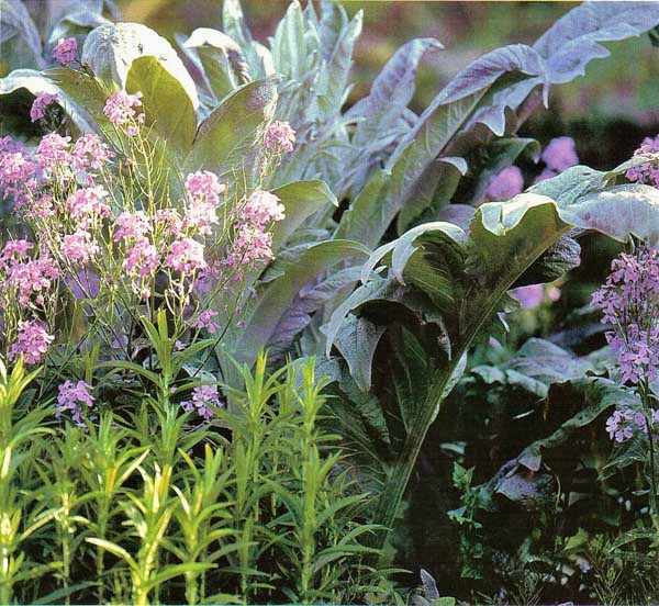 Les jardins de cadiot_dordogne_perigord