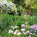 jardins-exotique_jardin-exotique_Roque_Gageac_dordogne_perigor