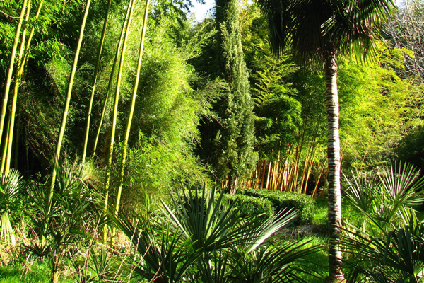 planbuisson_dordogne_perigord