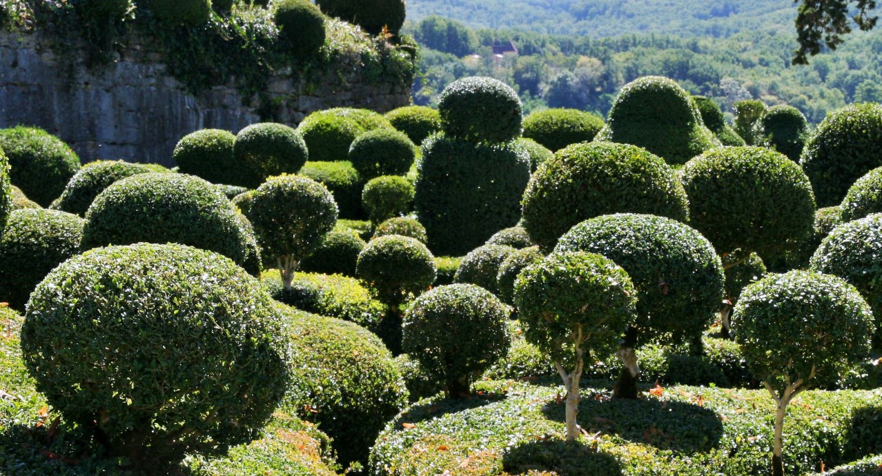 l'art_topiaire_sarlat_paerigord_dordogne