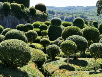 l'art_topiaire_sarlat_paerigord_dordogne