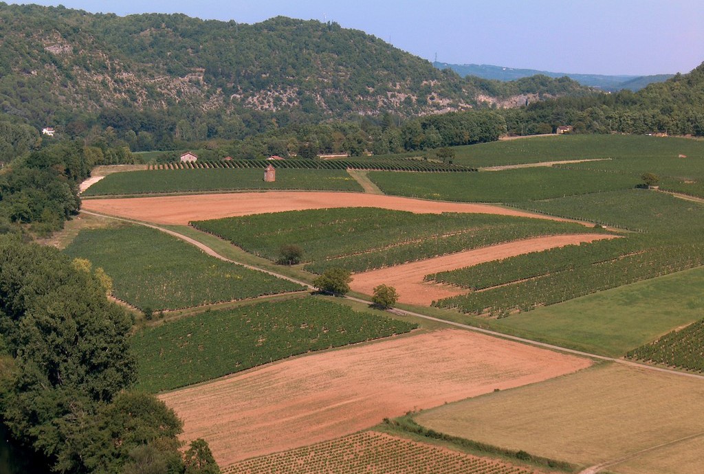 Vineyards_in_Cahors