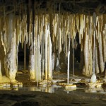 Grotte_de_Tourtoirac_Grand_massif_stalagmitique_dordogne_périgord