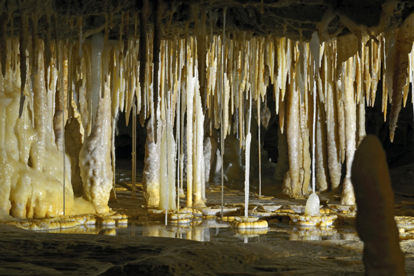 Grotte_de_Tourtoirac_Grand_massif_stalagmitique_dordogne_périgord