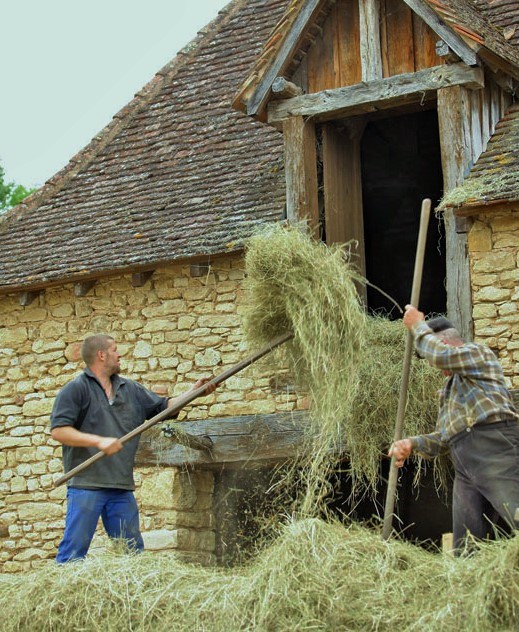 les foins au Village_du_bournat_parc_attractions_dordogne_le_bugue