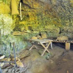 le conquil parc aux dinosaures saint-leon-sur-vezere