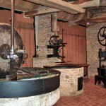 Eco musée de la noix_castelnaud_dordogne