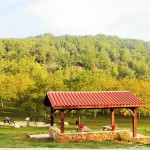 Eco musée de la noix_castelnaud_dordogne