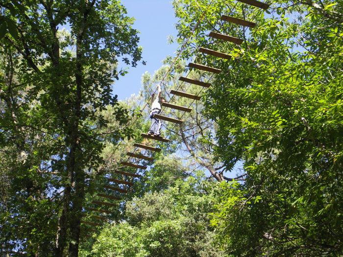 la fôret aux écureuils_sarlat