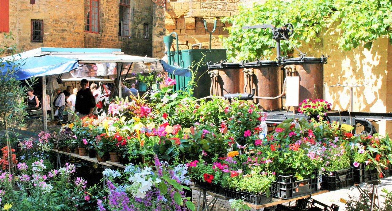 marché_de_sarlat_en périgord