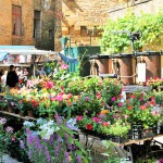 marché_de_sarlat_en périgord