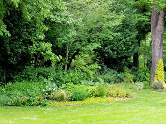 Jardin_Pelouse_et_arbres
