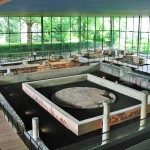 Musée gallo-romain de Périgueux
