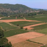 Vineyards_in_Cahors